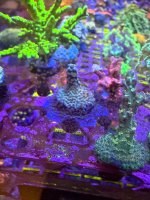 IMG_0773.jpeg