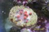 100_1624.jpg