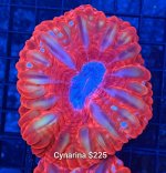 GridArt_20260623_230932764.jpg