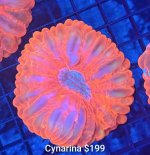 GridArt_20260623_230807903.jpg