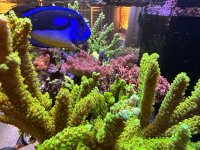 IMG_2204.jpeg
