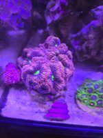 20260615_133352.jpg