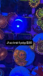 725574A8-C809-47DC-B1B2-D5DEEA2AEF66.jpeg