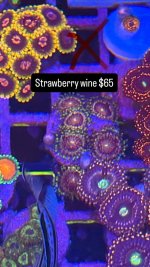 987BDBA4-5547-40A1-8670-CD25594BE630.jpeg