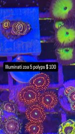 992743CF-BD1F-4CAB-8BA8-DC7E6BE3DBB4.jpeg
