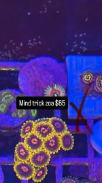 34DA2EFC-35C2-4688-A7FC-8E18490D2E67.jpeg