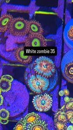 4EE1EAA9-F97E-4AC6-ADBA-AA9F7F86E010.jpeg