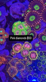 C77185F6-8383-46BB-9FA6-0AA466614197.jpeg