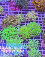 IMG_0715.jpeg