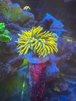 IMG_7069.jpeg