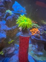 IMG_7070.jpeg