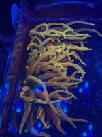 IMG_7625.jpeg