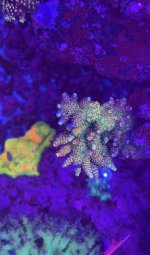 IMG_7618.jpeg