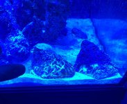 IMG_7081.jpeg