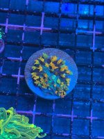 IMG_7985.jpeg