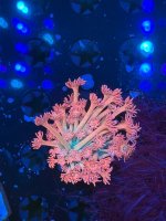 IMG_7976.jpeg