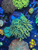 IMG_7729.jpeg