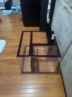 IMG_7138.jpeg