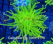 GridArt_20260630_215926176.jpg