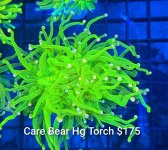GridArt_20260630_215900381.jpg