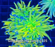 GridArt_20260630_215720291.jpg