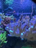 IMG_4127.jpeg