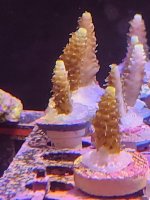 20260705_160419.jpg