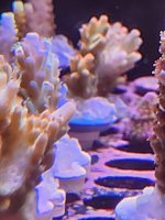 20260705_160407.jpg