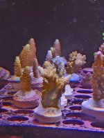20260705_160353.jpg