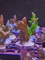 20260705_160345.jpg