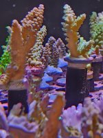 20260705_160338.jpg