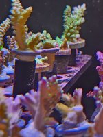 20260705_160325.jpg