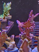 20260705_160318.jpg