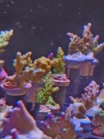 20260705_160308.jpg