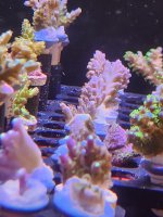 20260705_160255.jpg