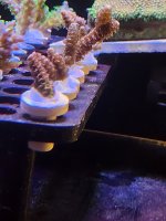20260705_160237.jpg