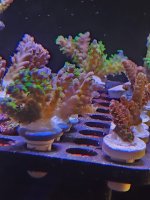 20260705_160241.jpg