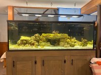 IMG_9971.jpeg