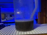 IMG_9969.jpeg