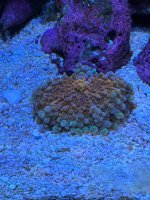 IMG_4148.jpeg