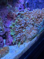 IMG_4149.jpeg