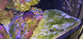 tank1.jpg