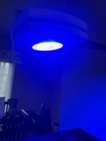 IMG_8163.jpeg