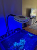 IMG_8162.jpeg