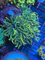 IMG_8179.jpeg