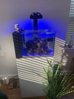 Tank 3.jpg
