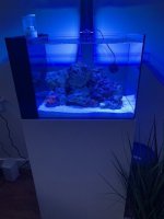 Tank 4.jpg