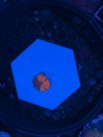 IMG_8176.jpeg