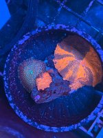 IMG_8177.jpeg