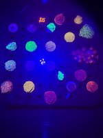 IMG_0920.jpeg